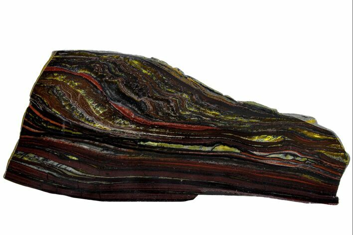 Polished Tiger Iron Stromatolite Slab - Billion Years #162091
